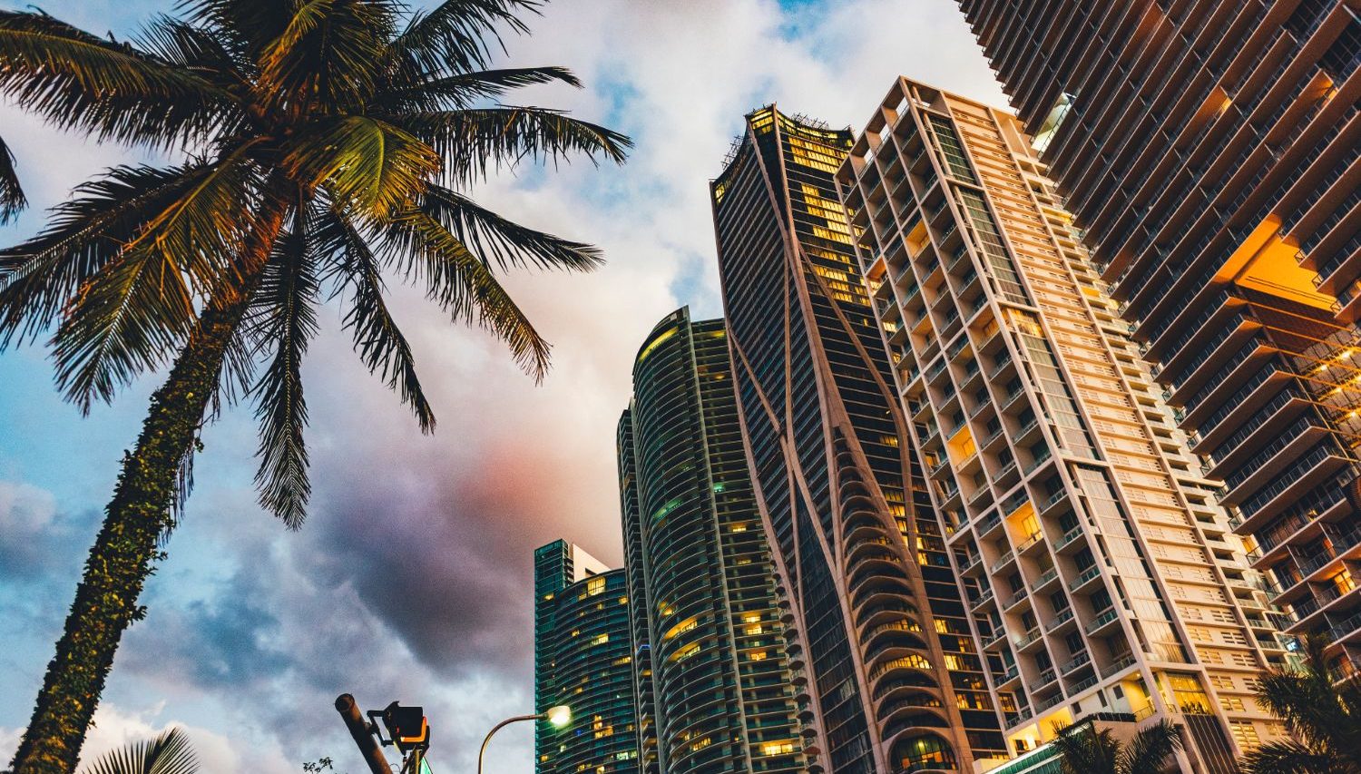 Palm trees and high-rise towers in downtown Miami